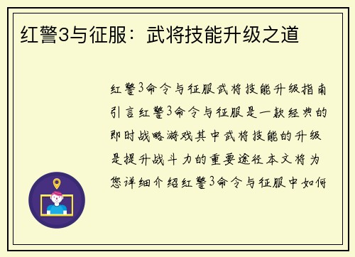 红警3与征服：武将技能升级之道